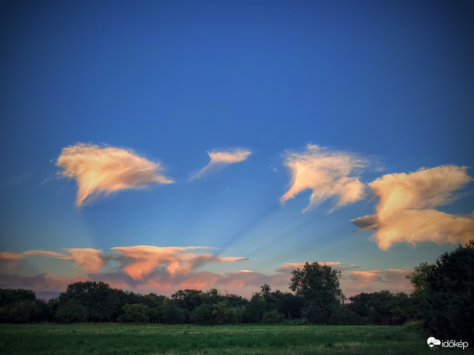 Festmény az égi óceán élővilágáról