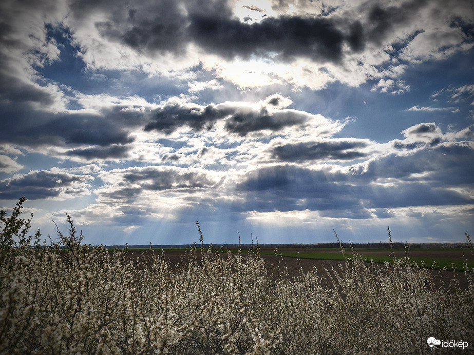 Tyndall-sugarak és virágok áprilisi varázsa