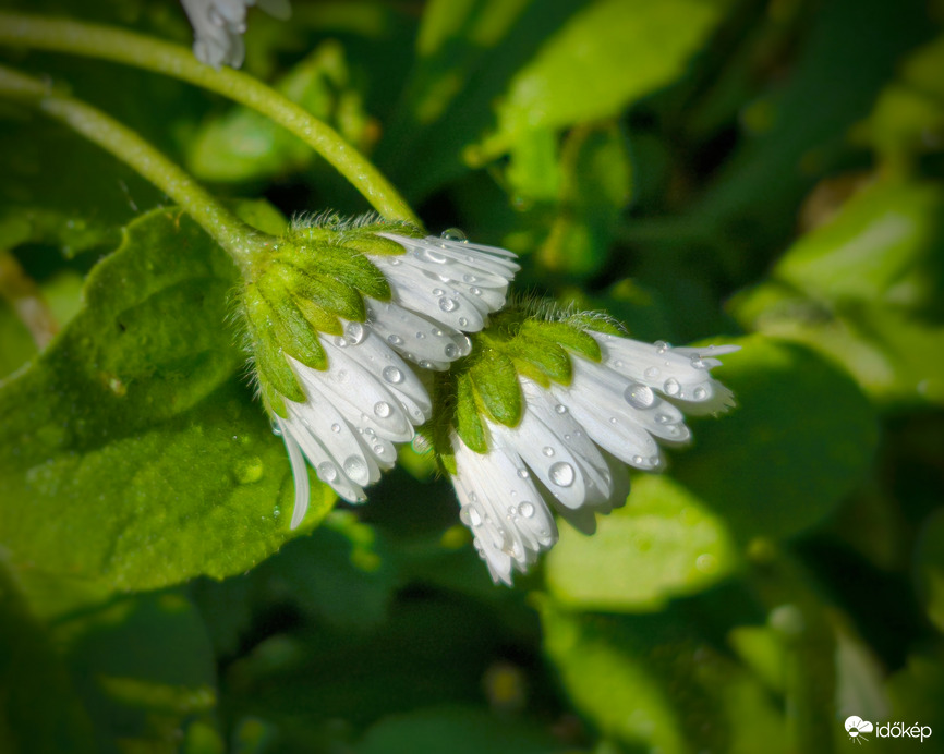 Nyugalom percei a zivatarok után