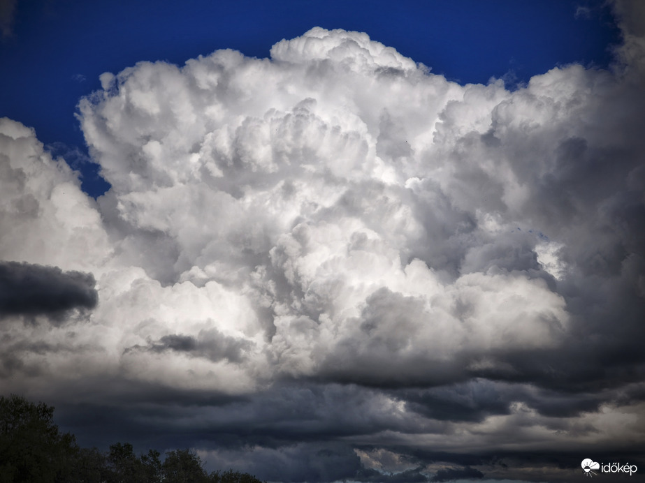 Következő cella kialakítása