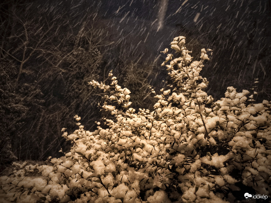 Gyarapodó hóréteg