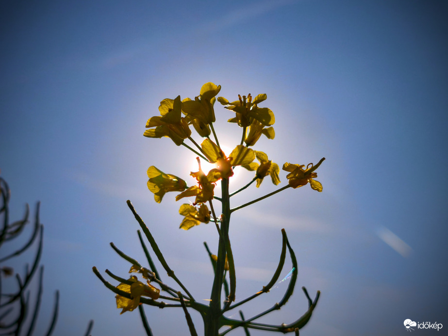 Sajnos hallatlan halózas volt tapasztalható