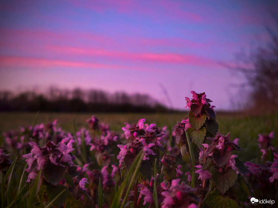 Napzáró árnyalatok