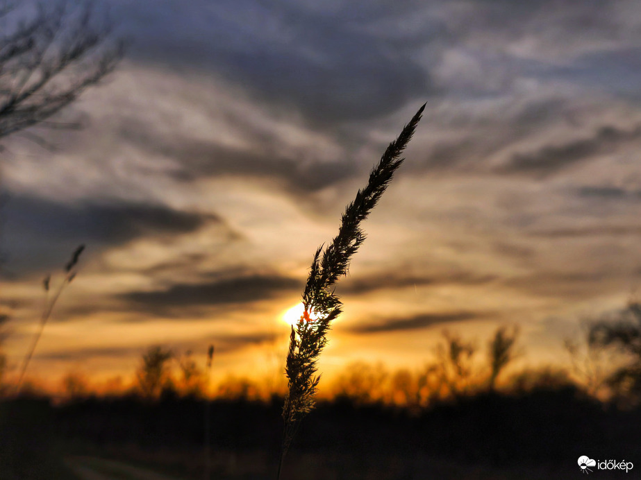 Nőnapi naplemente idején