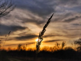 Nőnapi naplemente idején