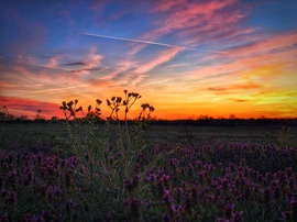 Húsvét záró alkonyat