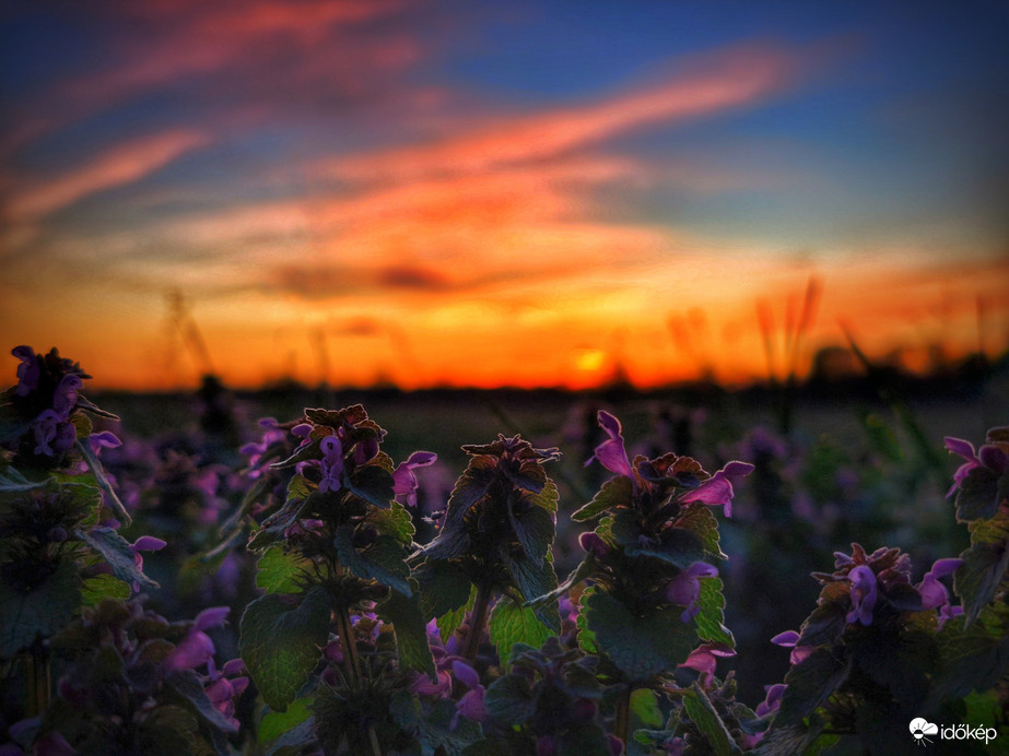 Festmény Húsvéthétfő végéről