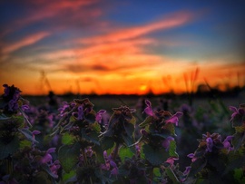 Festmény Húsvéthétfő végéről