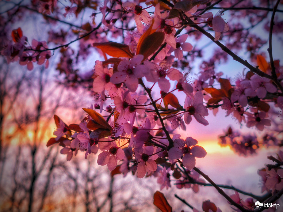 Álomból felébredvén egy újba csöppenve