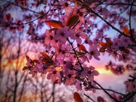 Álomból felébredvén egy újba csöppenve