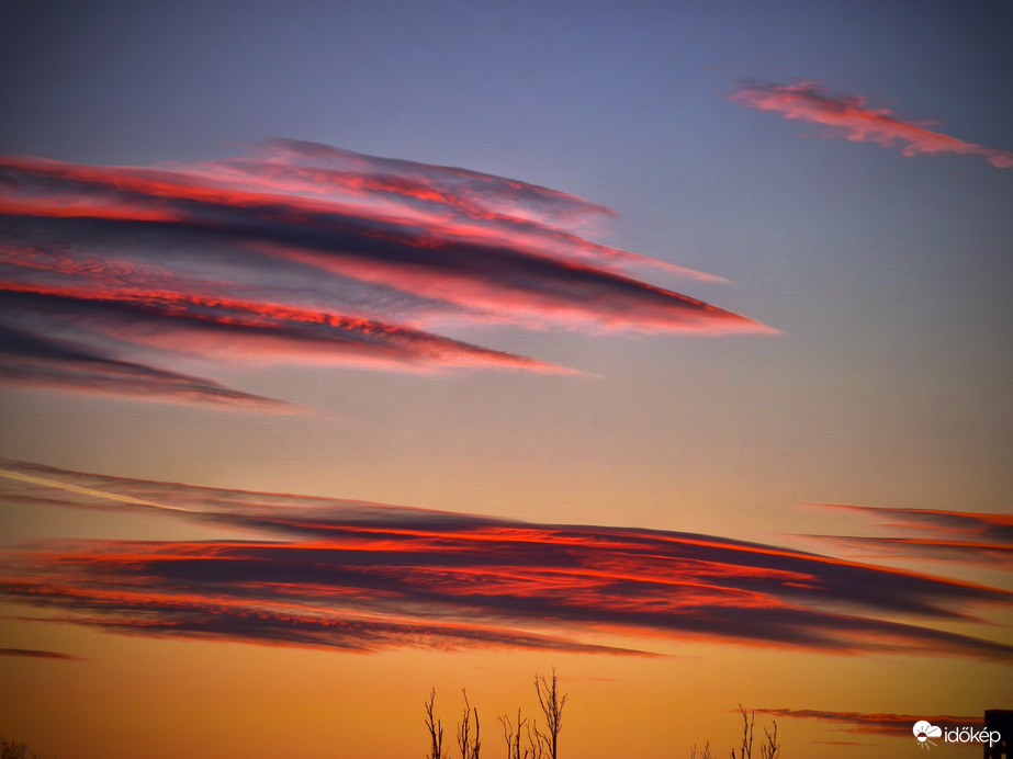 Színekbe bújt látogatók