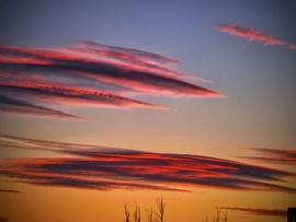 Színekbe bújt látogatók