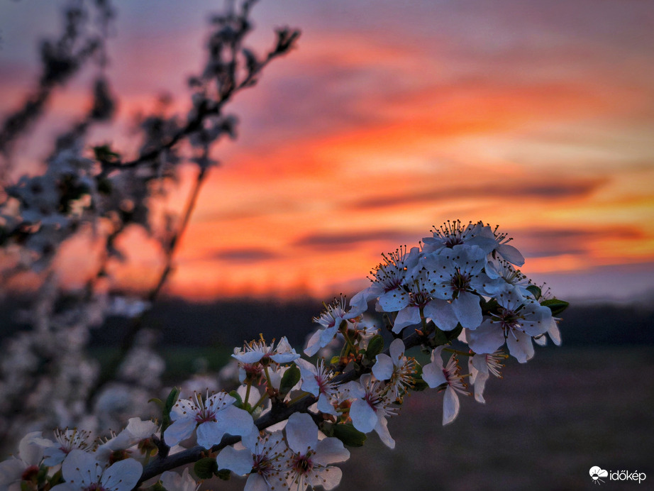 Elköszönés a fellángolástól