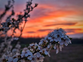 Elköszönés a fellángolástól