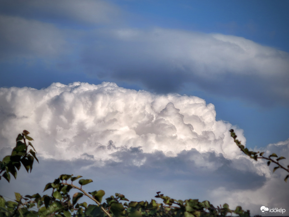 Gomolygó habok a borostyán felett