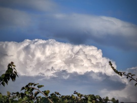 Gomolygó habok a borostyán felett