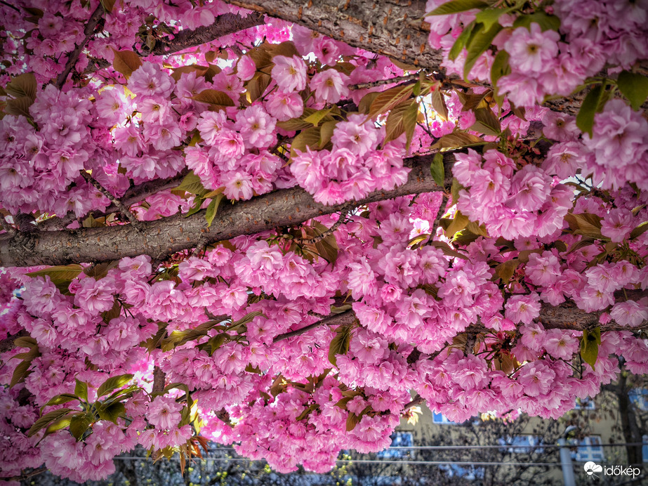 Nehéz betelni a látvánnyal