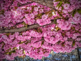 Nehéz betelni a látvánnyal