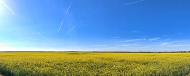 Repcés panoráma