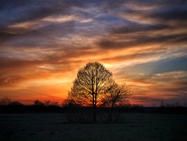 Nőnapi naplementi mese