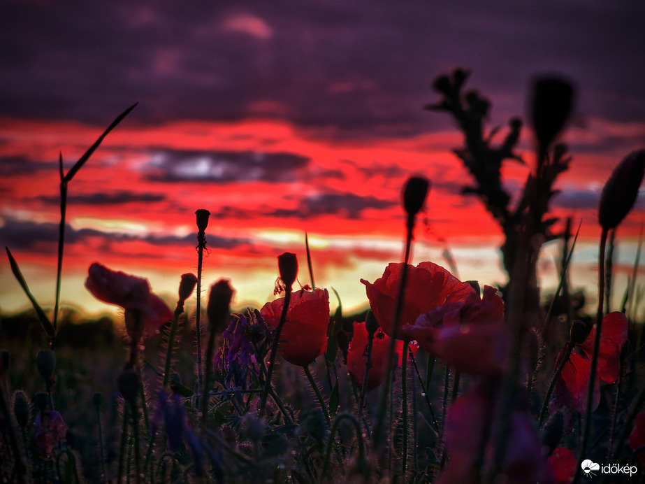 Porfogó eső utáni varázslatos alkonyat