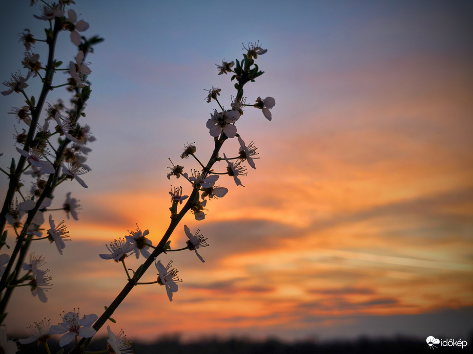 Szeles lesz a folytatás