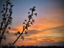 Szeles lesz a folytatás