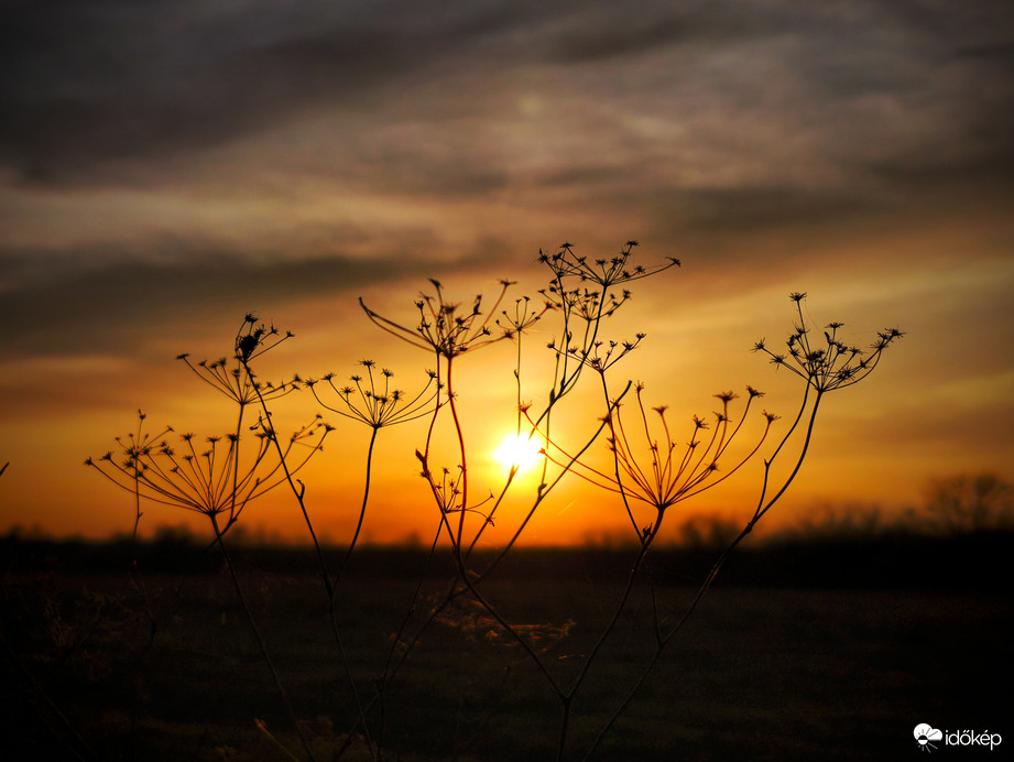 Tüzes nőnapi lemenés