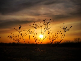 Tüzes nőnapi lemenés