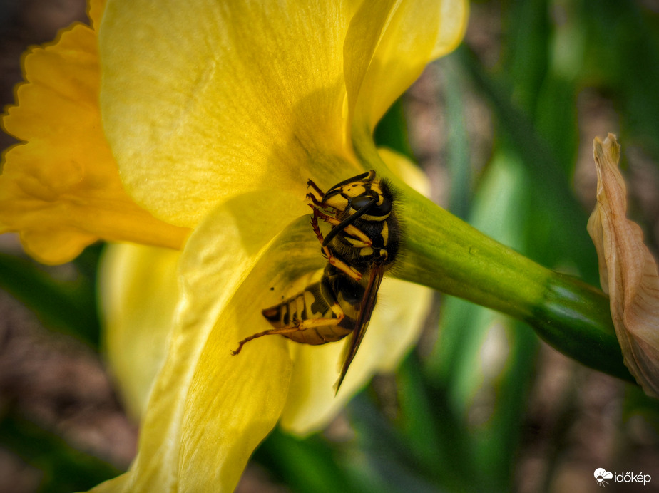 Bújócska a zápor elöl