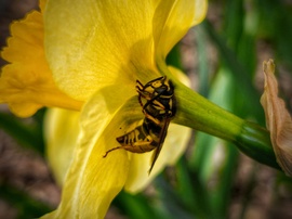 Bújócska a zápor elöl