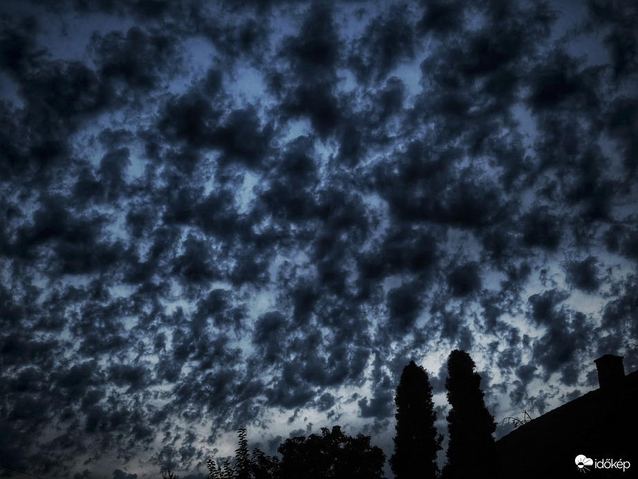 Komor pamacsokkal üzent a front