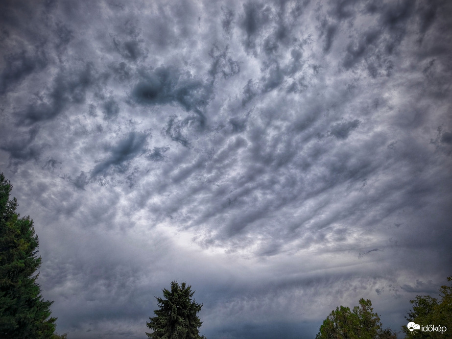 Látvány egy semmirekellő zápor után