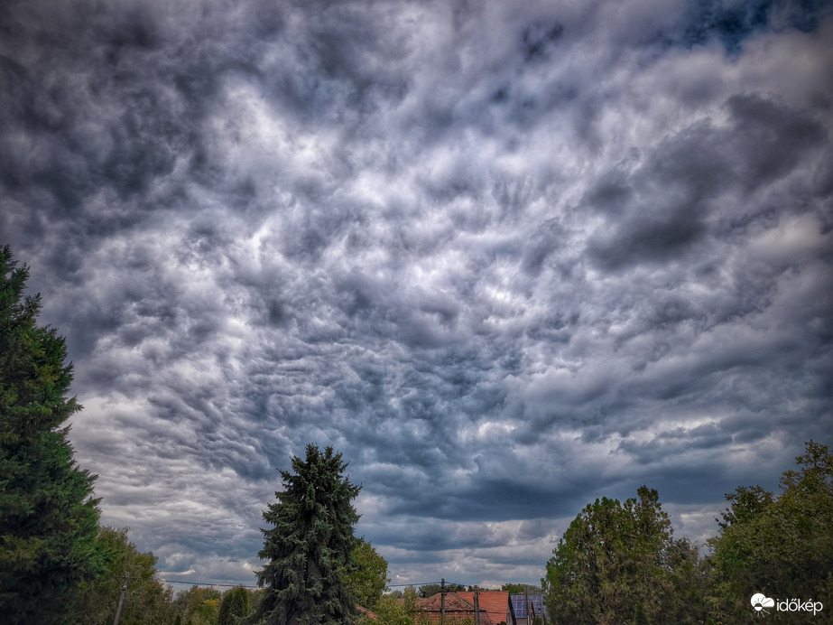 Kora délutáni paplanos mintázat