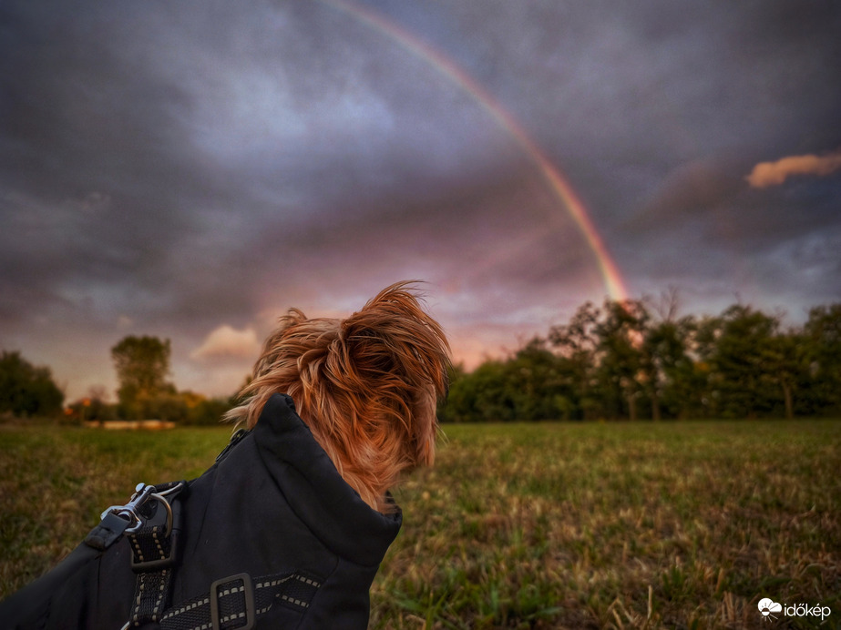 Szivárványlesen Mazsolával