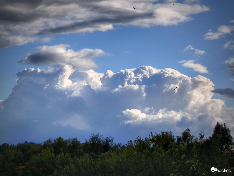 Szárnyalás a távoli habok előtt