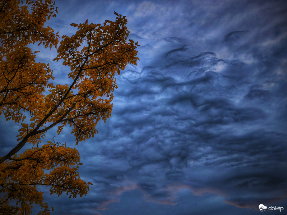 Napzáró érdekesség