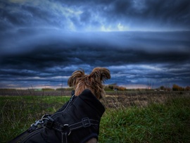 Októberi frontvonalban