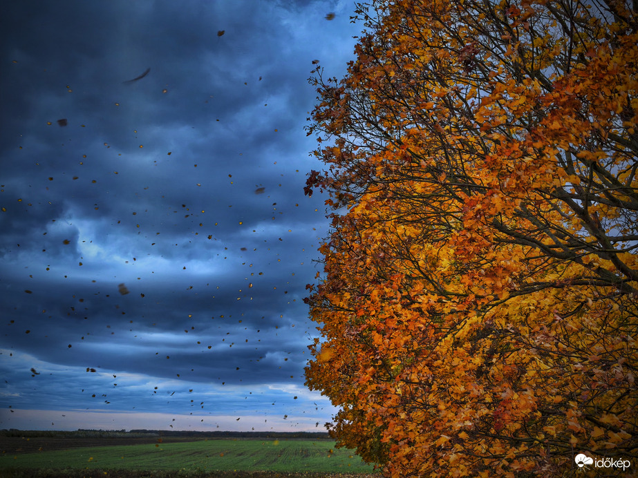 Megérkezett a levél vészt hozó szélroham