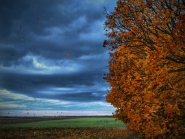 Csak úgy repültek az őszi falevelek