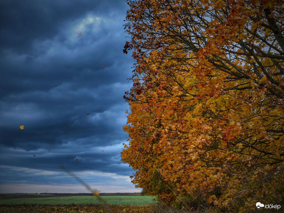 Szélirányba állva