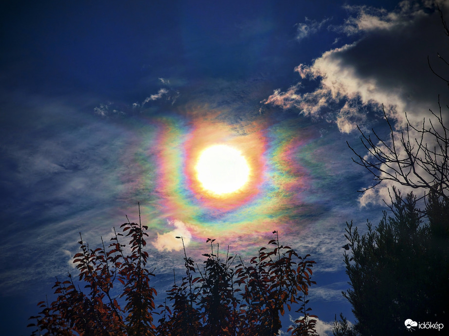 Napkoszorú teljes pompájában