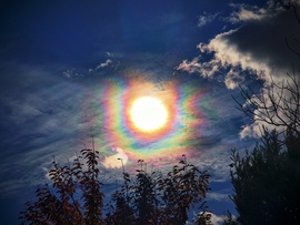 Napkoszorú teljes pompájában