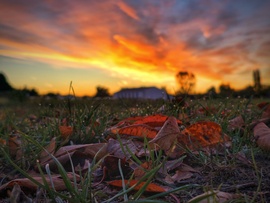 Harmatos októberi reggel