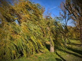 Úgy fúj a szél, mintha muszáj volna