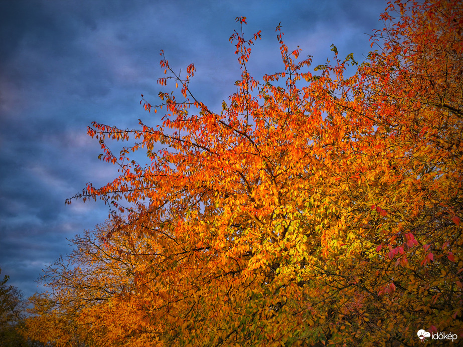 Felhőpaplan és rikító őszi levélvarázs