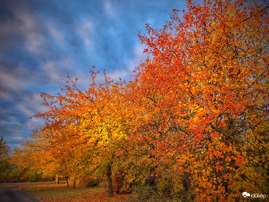 Októberi reggeli képeslap