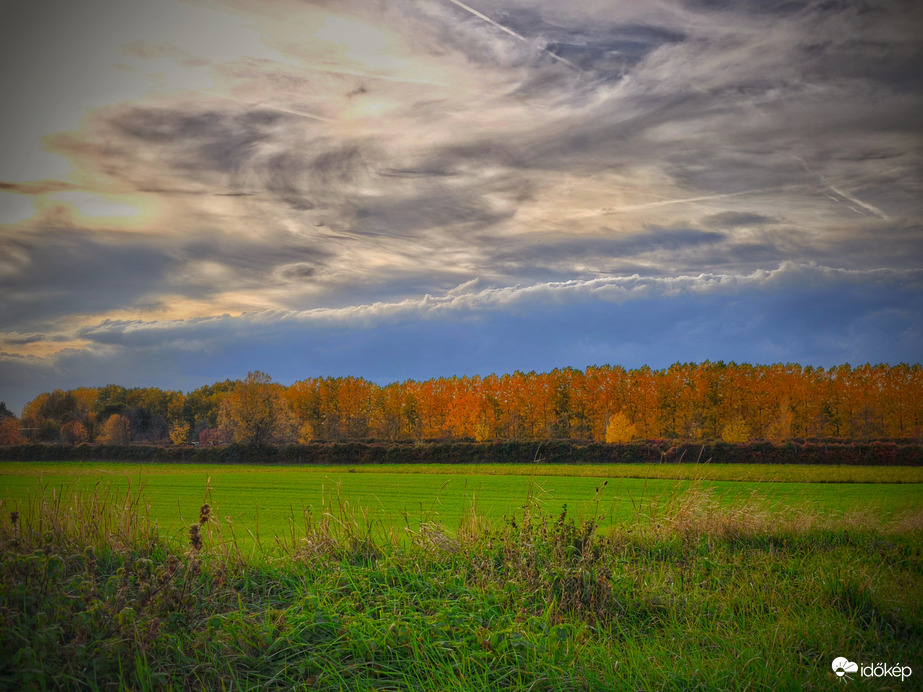 Közeledés az őszi fasorhoz