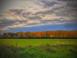 Közeledés az őszi fasorhoz