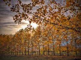 Őszi ragyogás a hidegfront előtt